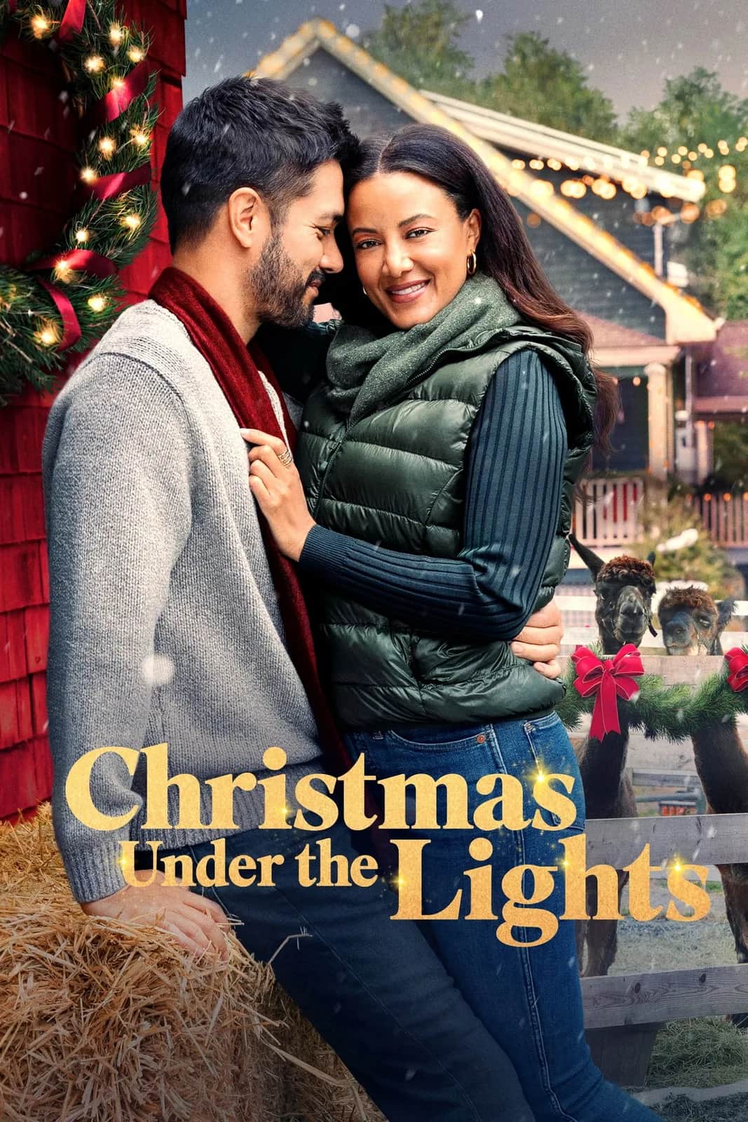 Christmas Under the Lights poster
