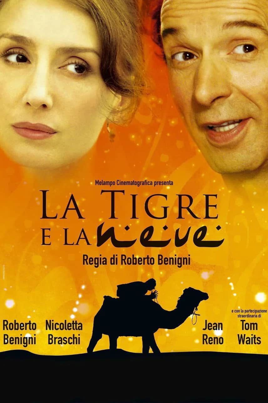 La tigre e la neve poster