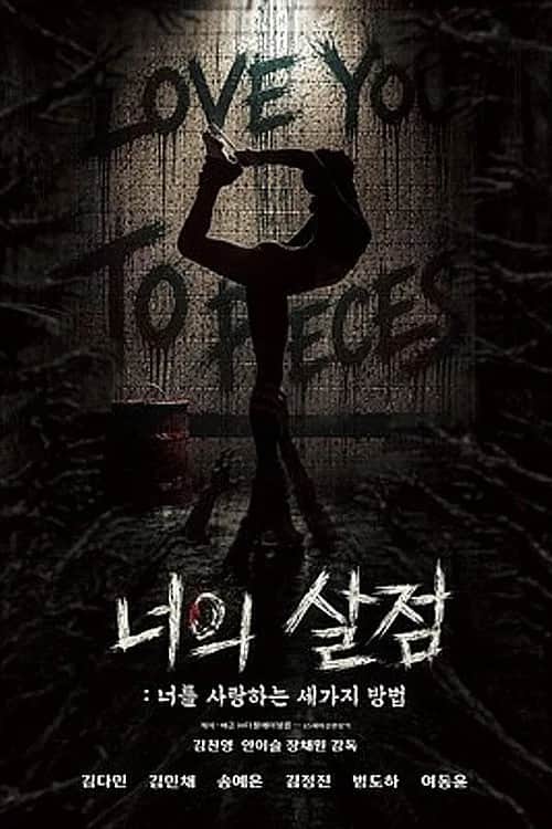 Love You to Pieces poster