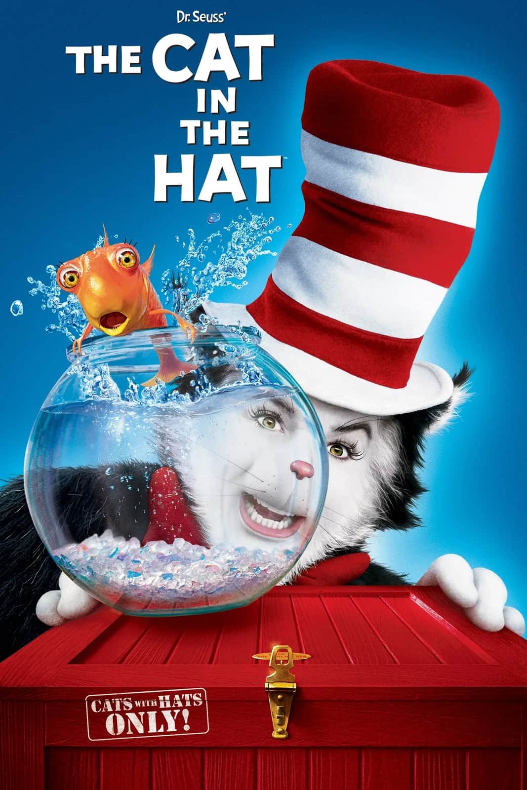 โปสเตอร์ เหมียวแสบ ใส่หมวกซ่าส์