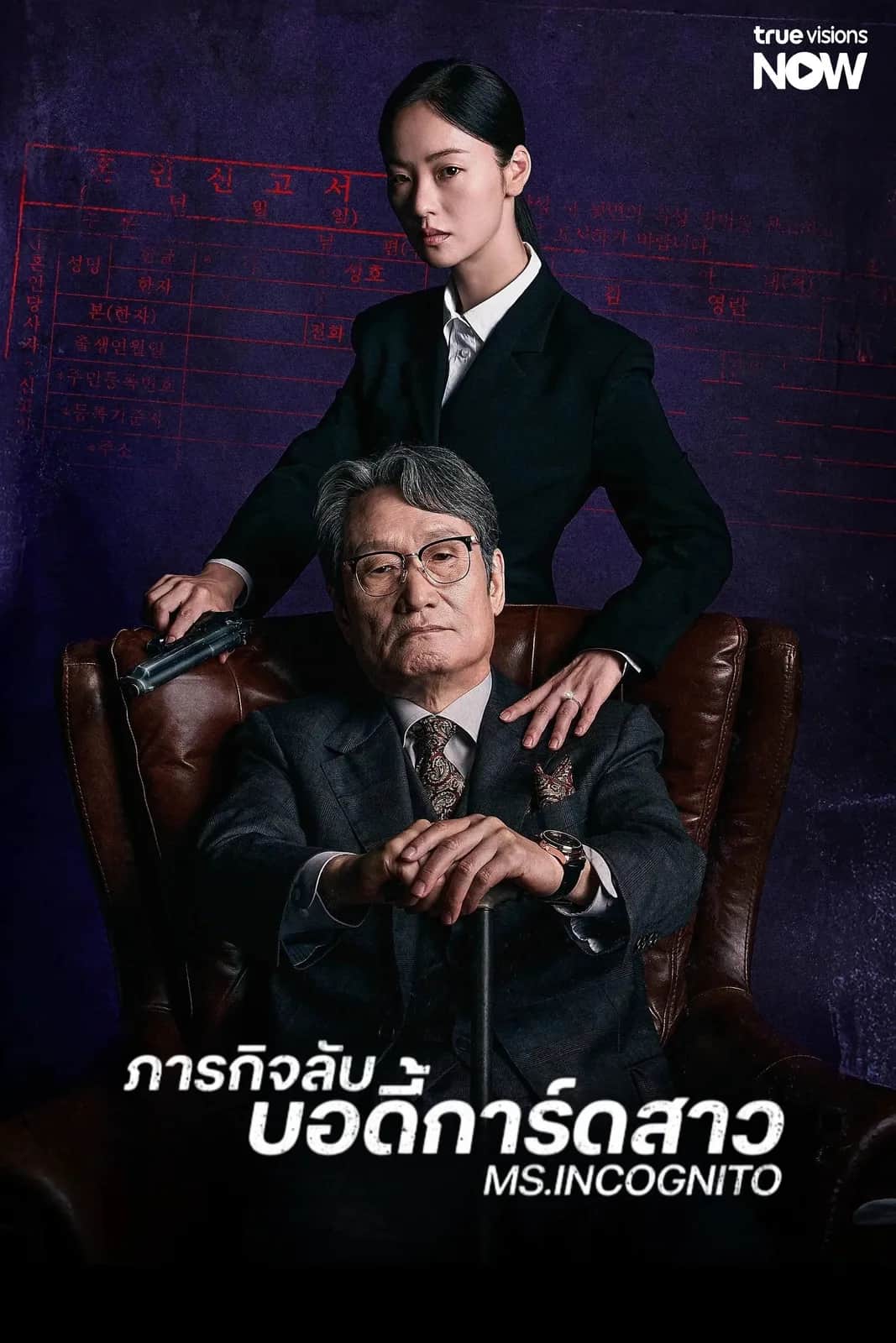 Ms. Incognito poster