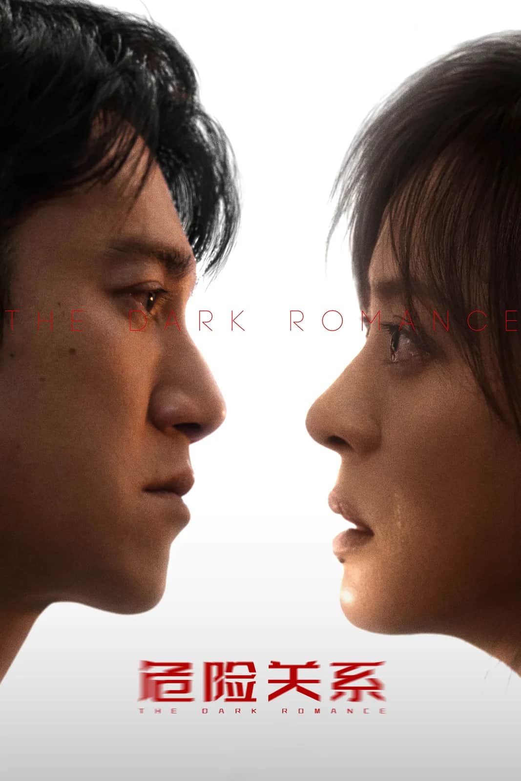 โปสเตอร์ รักมืด