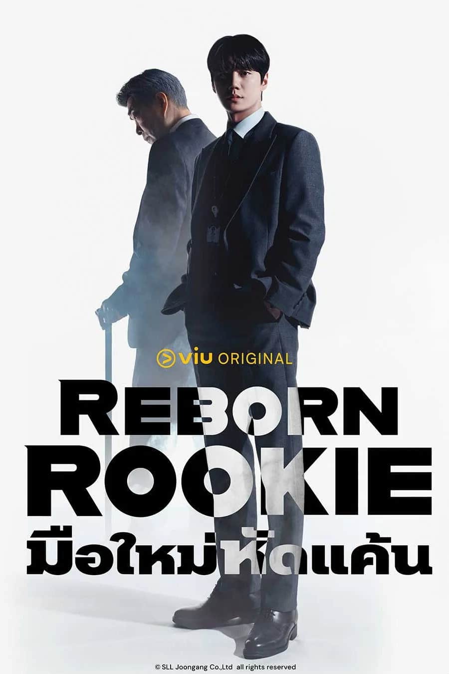 โปสเตอร์ มือใหม่หัดแค้น