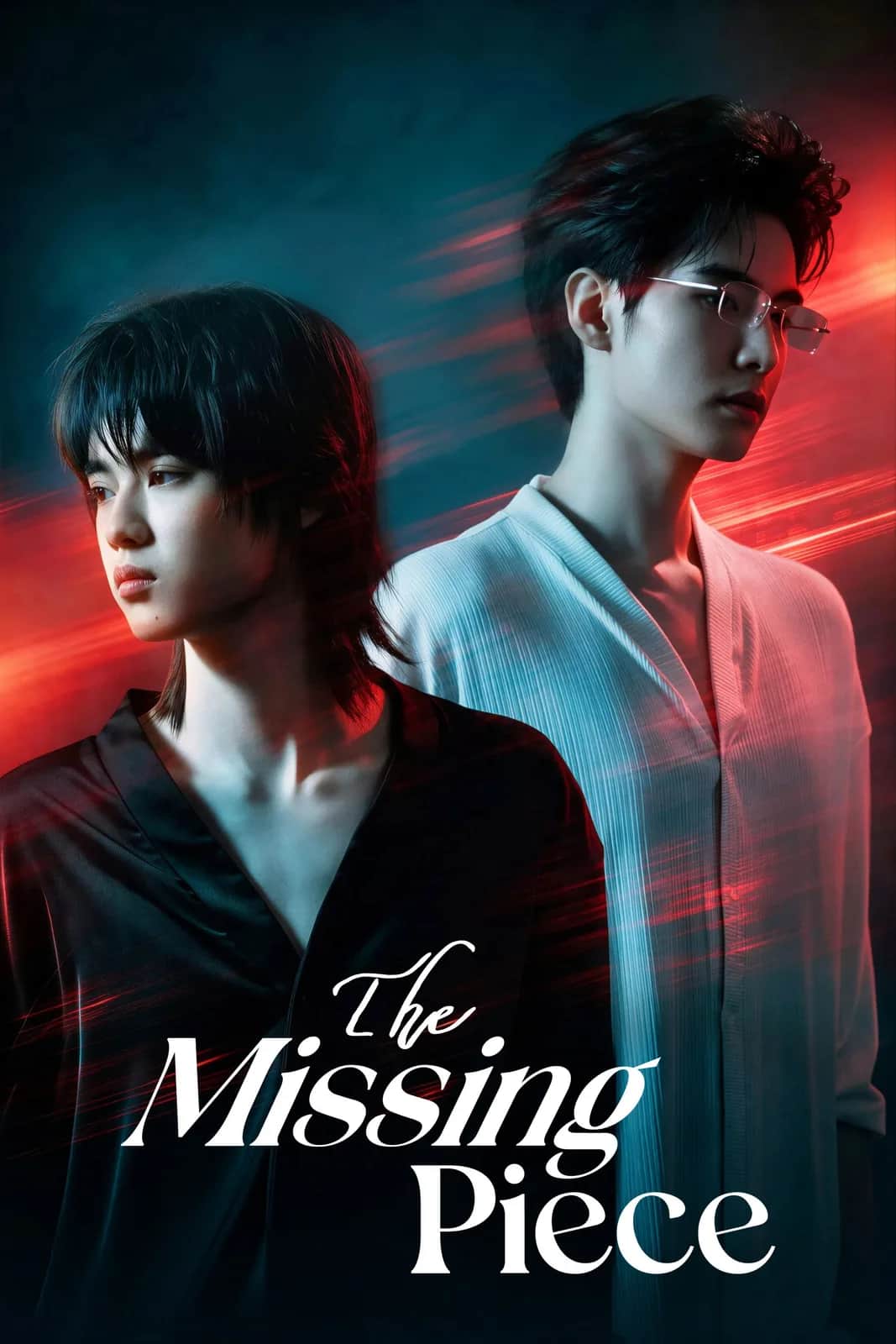 The Missing Piece poster