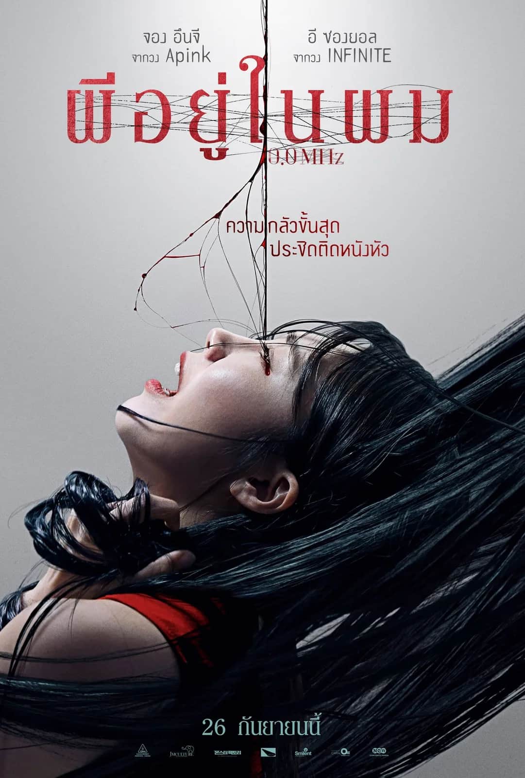 โปสเตอร์ ผีอยู่ในผม