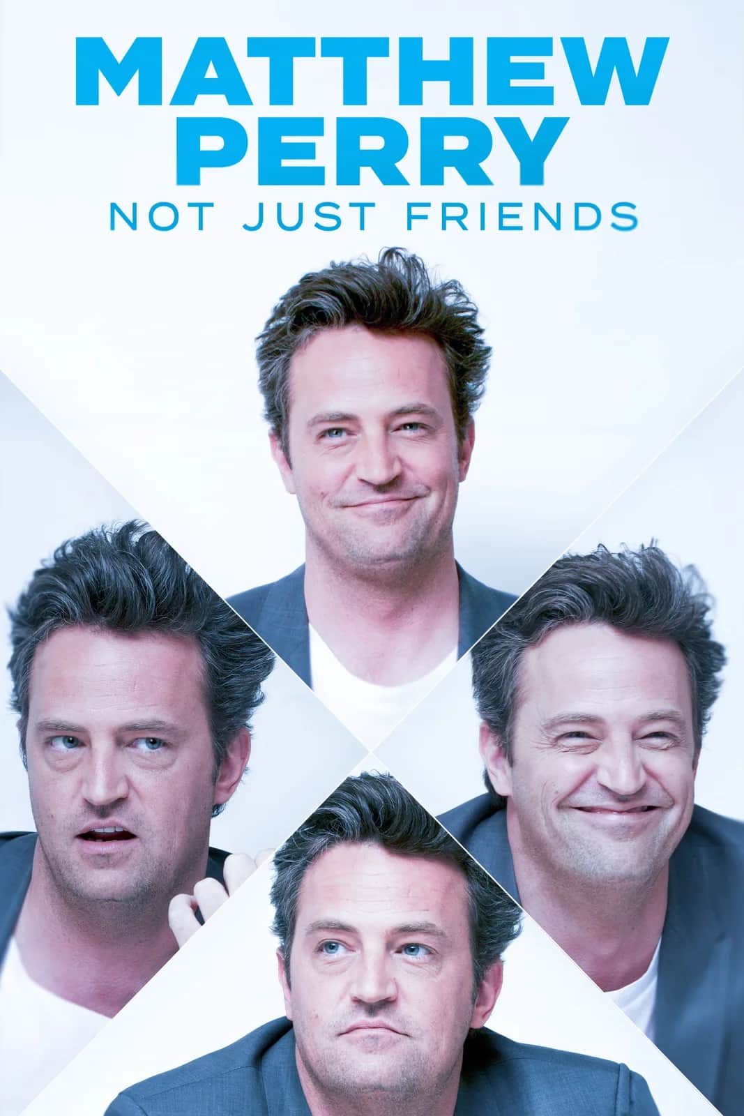 Matthew Perry: Not Just Friends poster