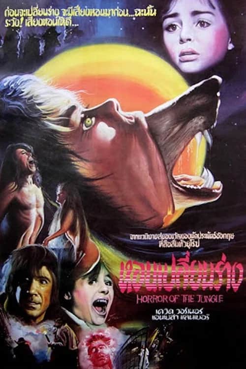 The Company of Wolves poster