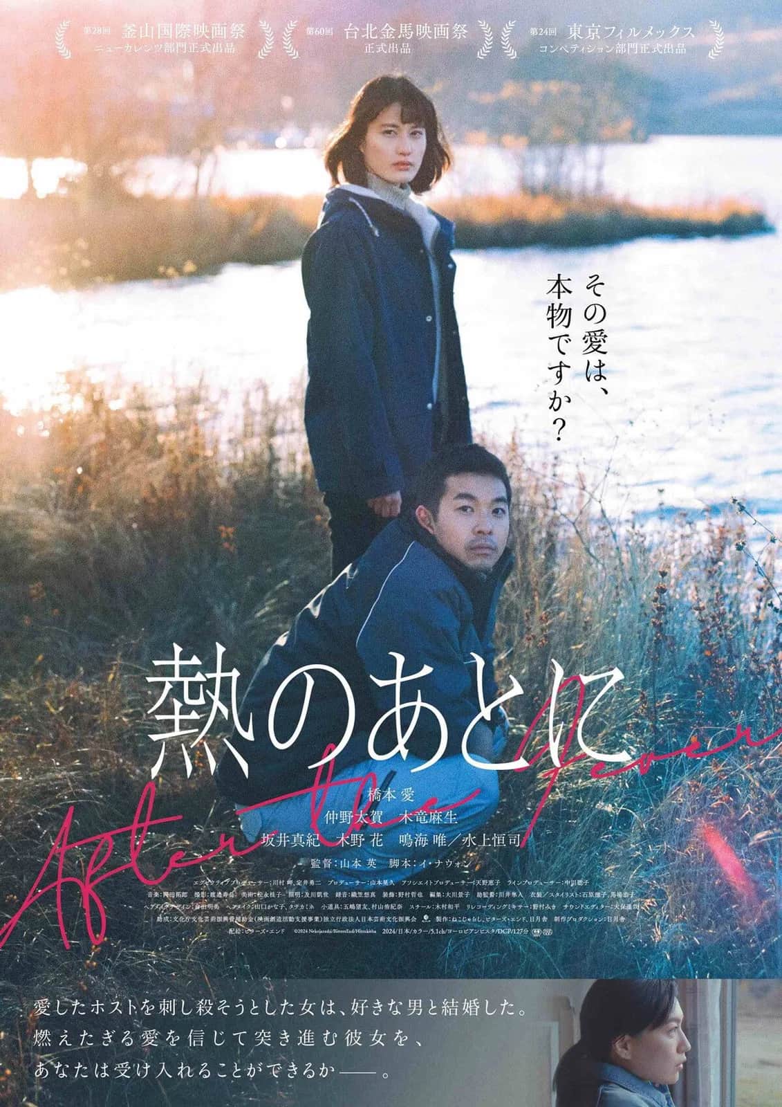 โปสเตอร์ หลังไข้จาง