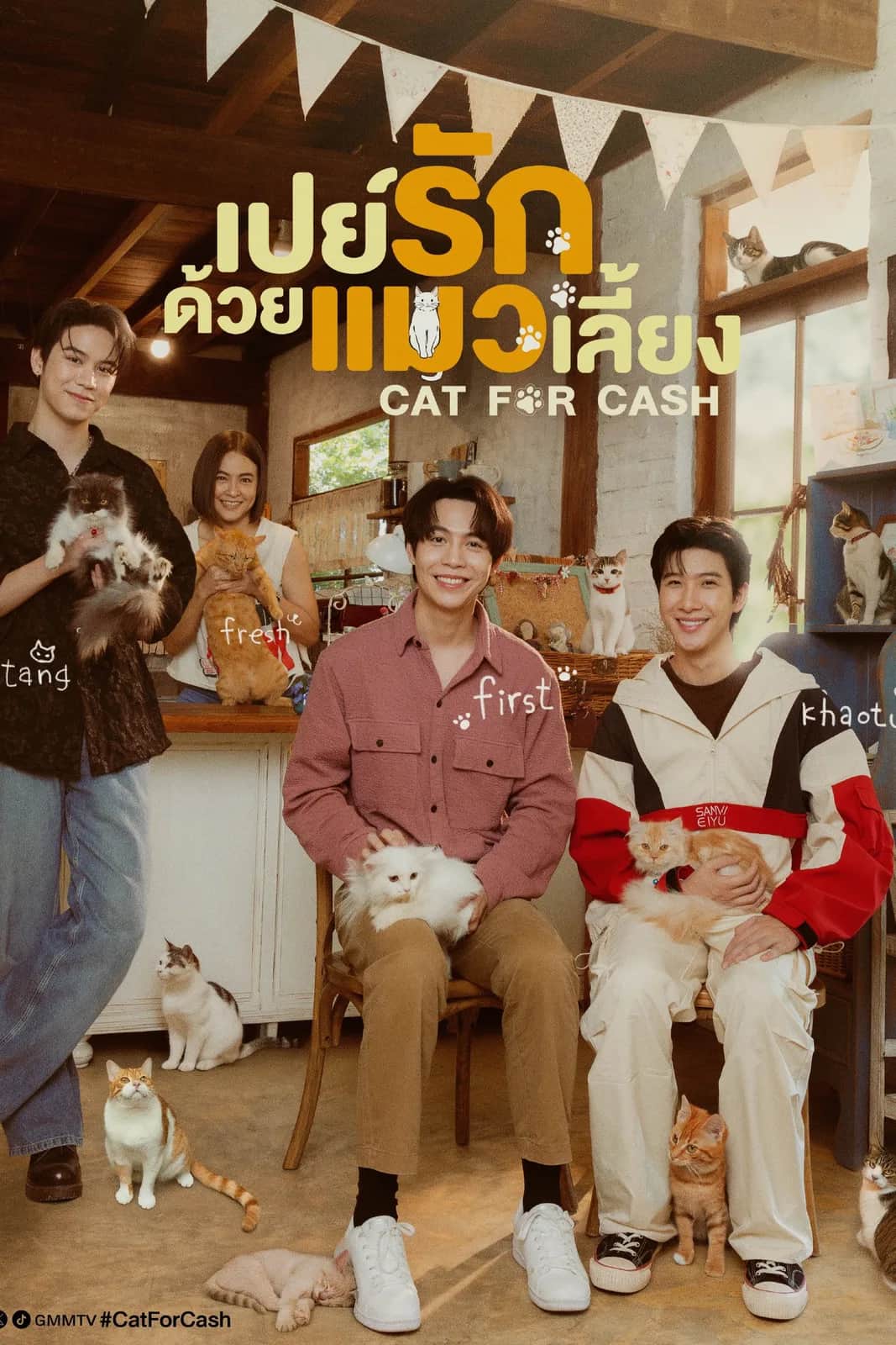 Cat for Cash poster