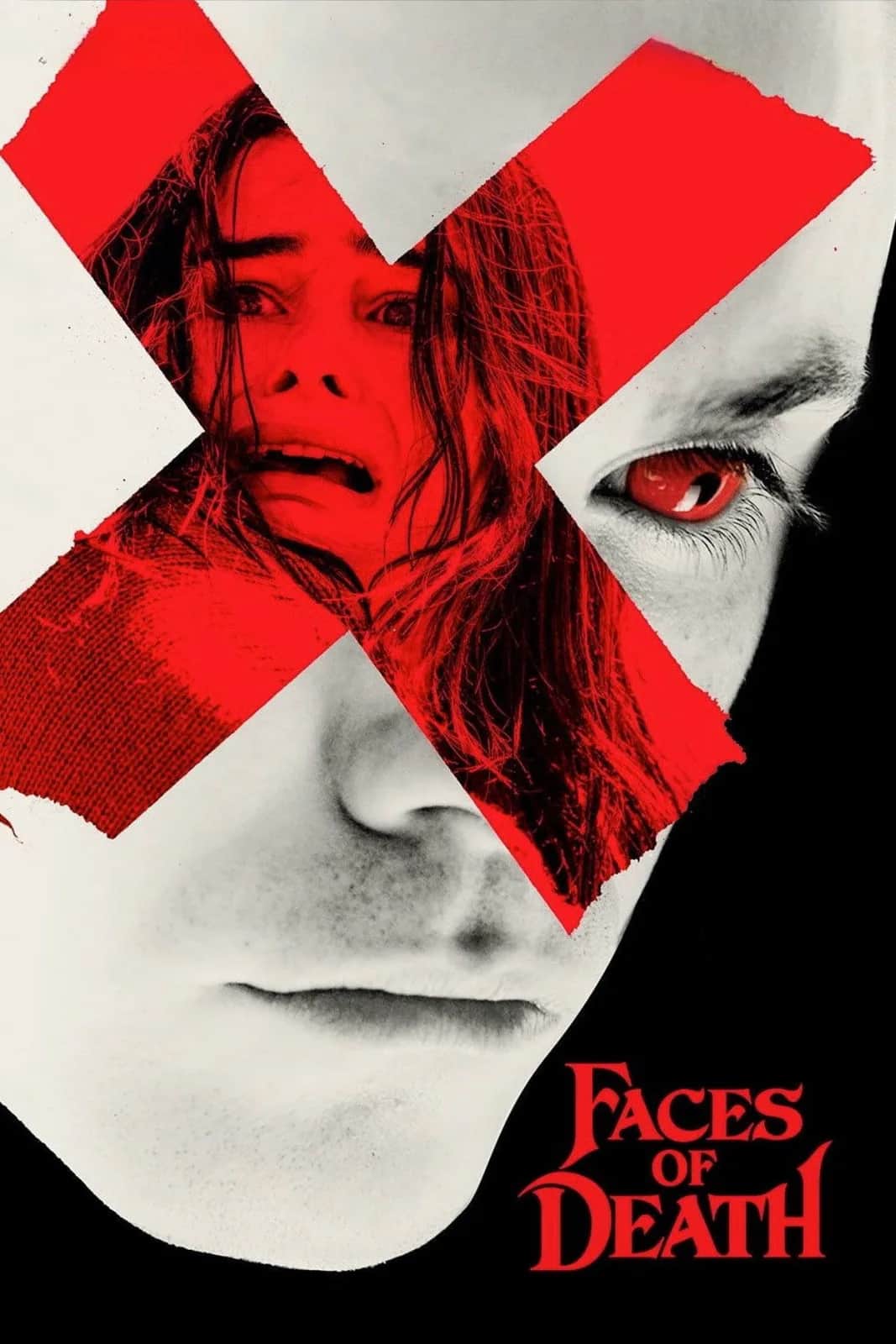 โปสเตอร์ Faces of Death