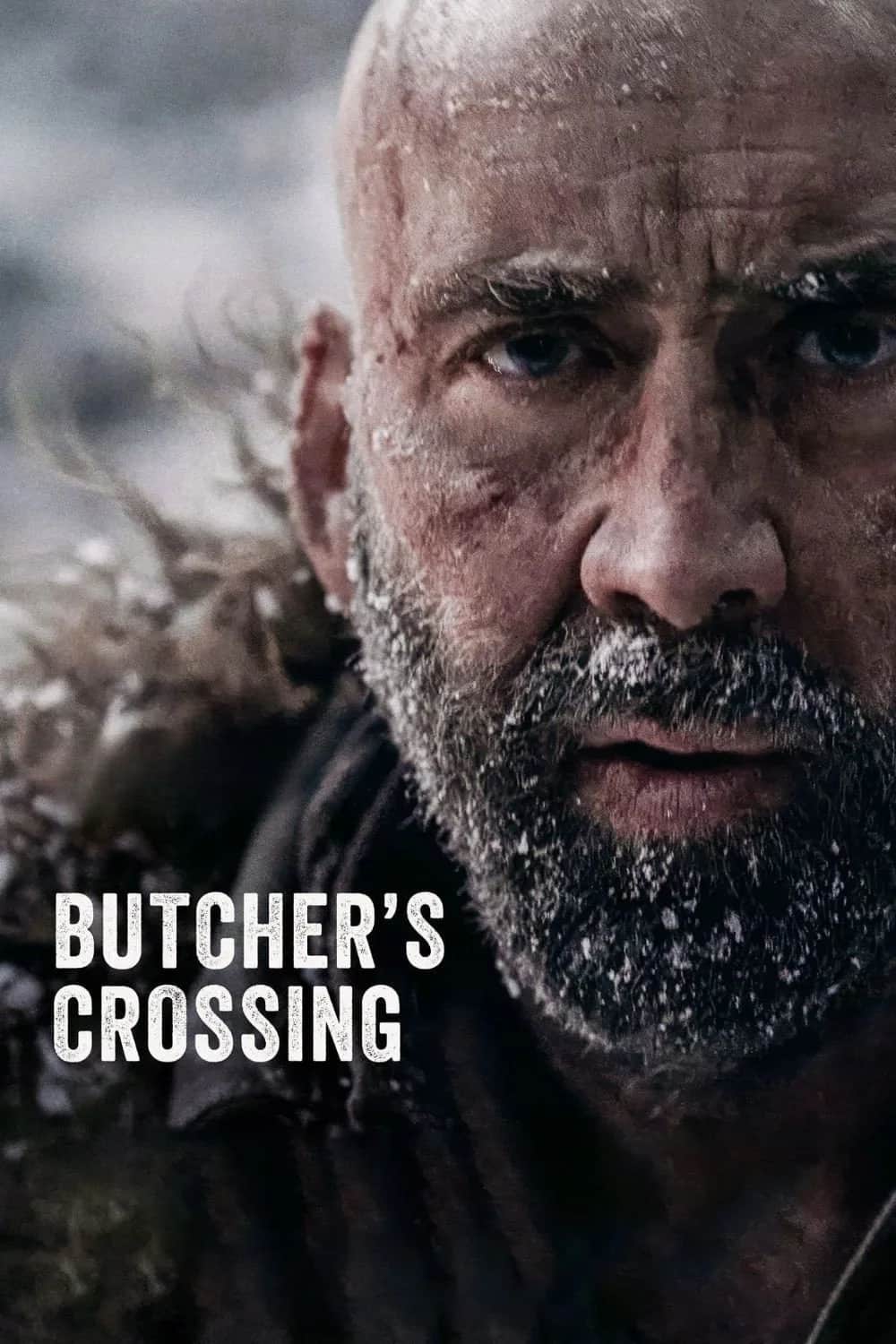 โปสเตอร์ Butcher's Crossing