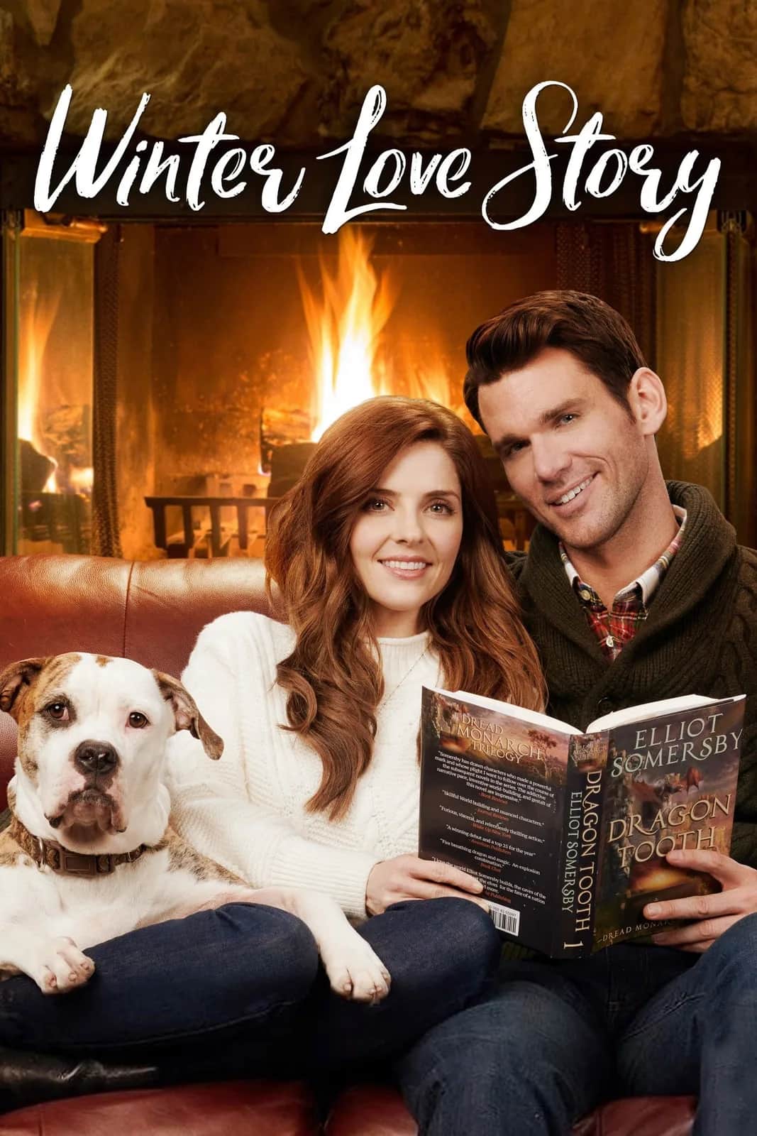 Winter Love Story poster