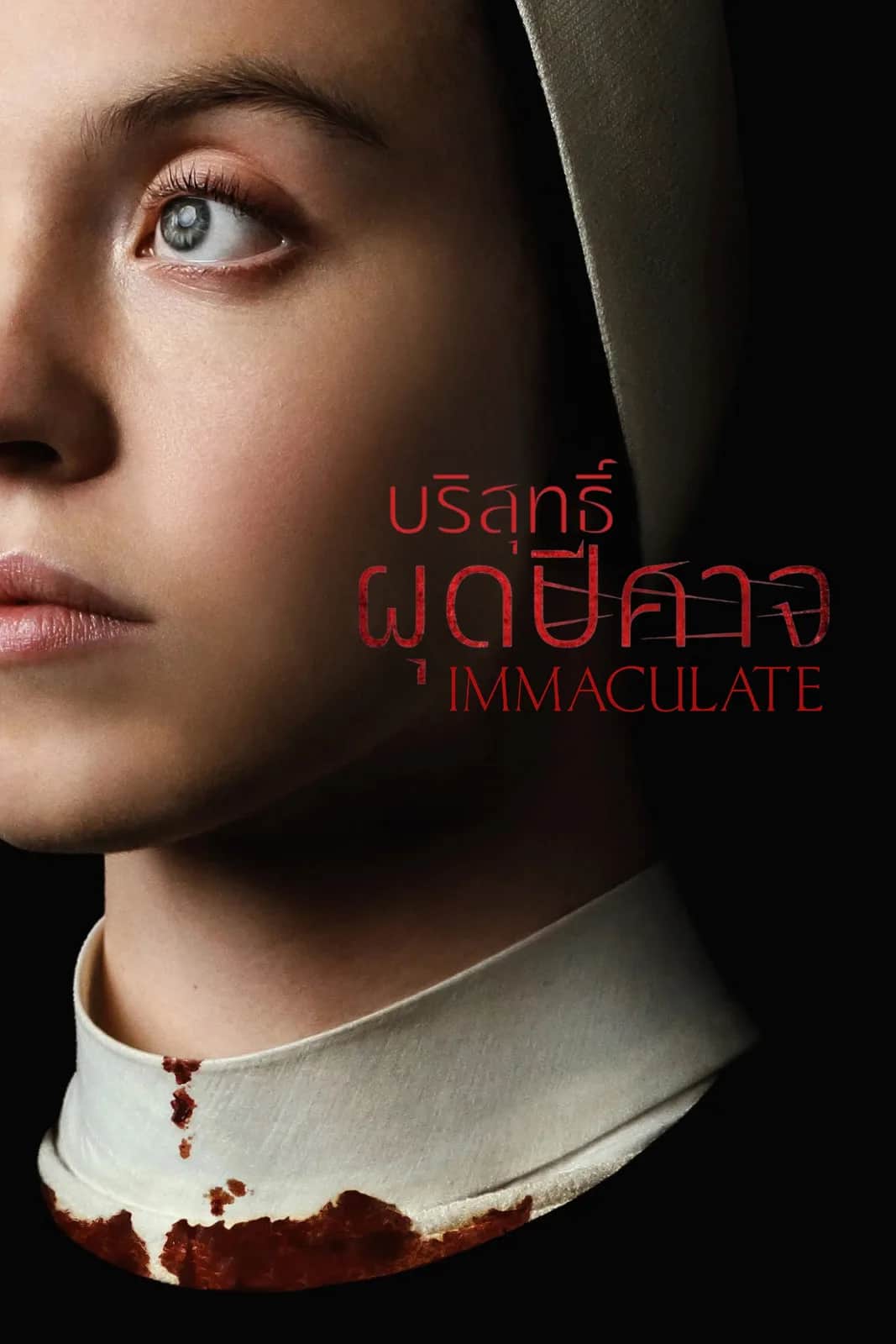 Immaculate poster