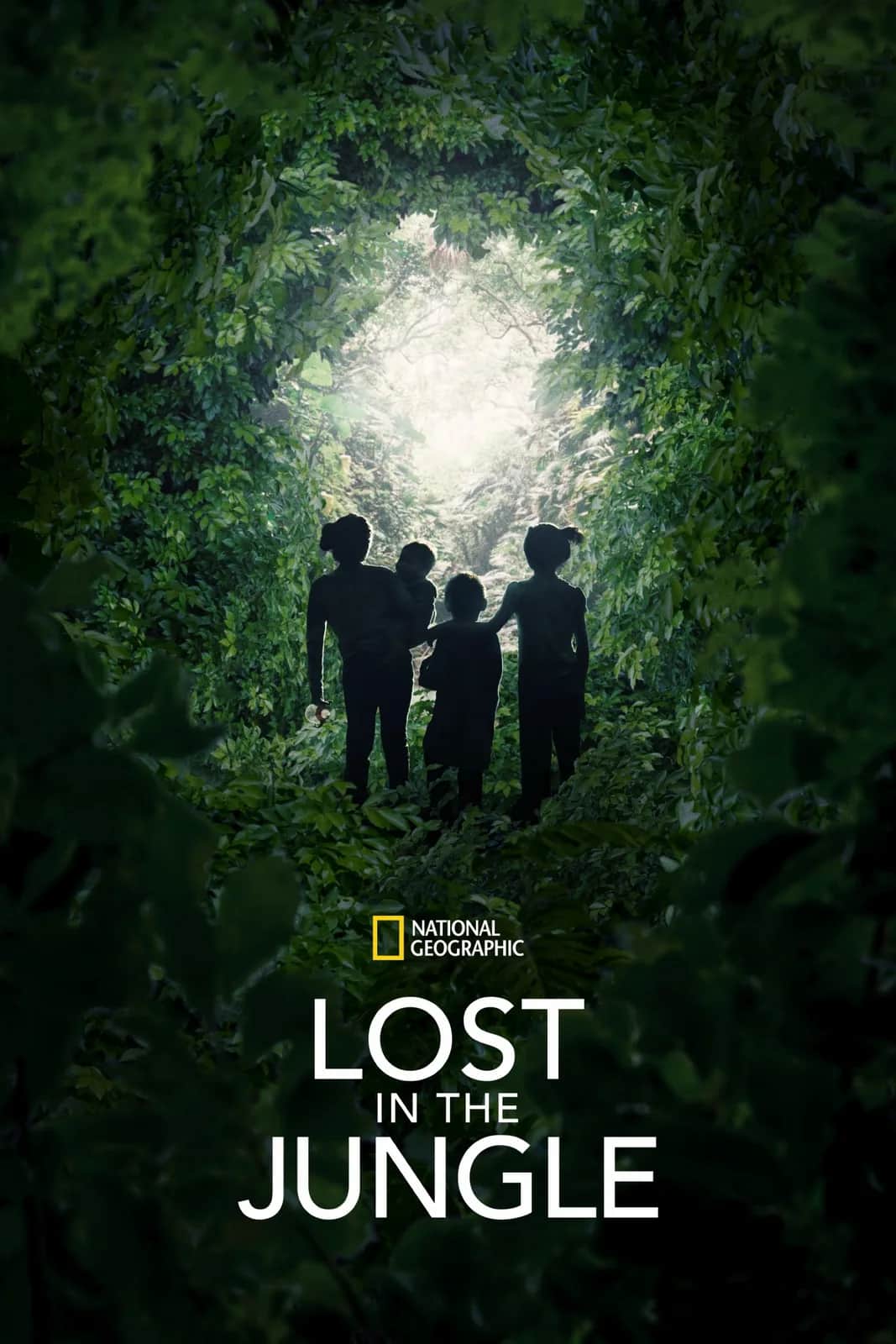 Lost in the Jungle poster
