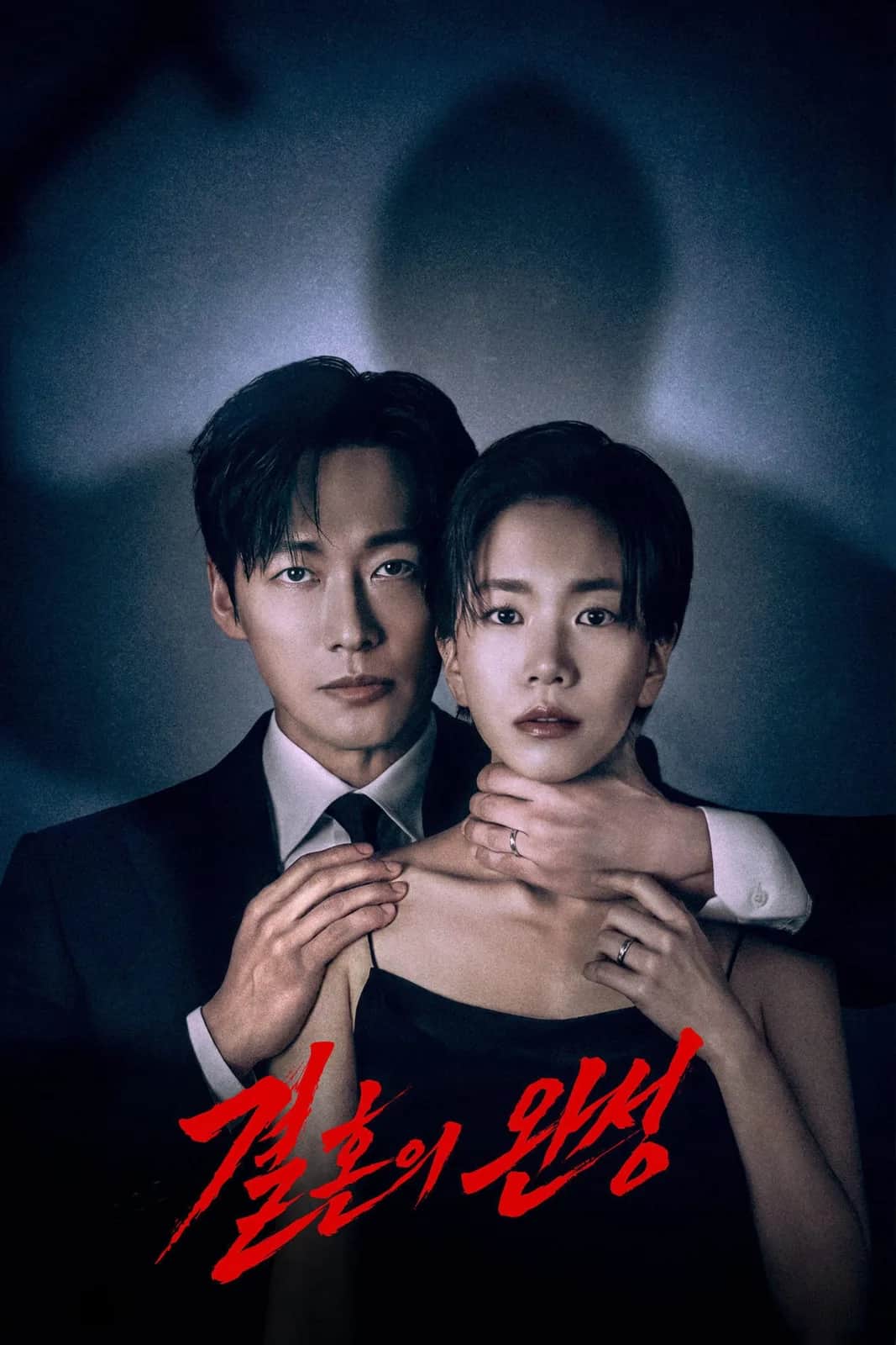 The Husband poster