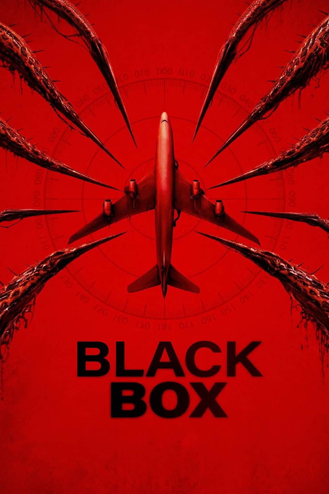 Black Box (Flight 298) poster