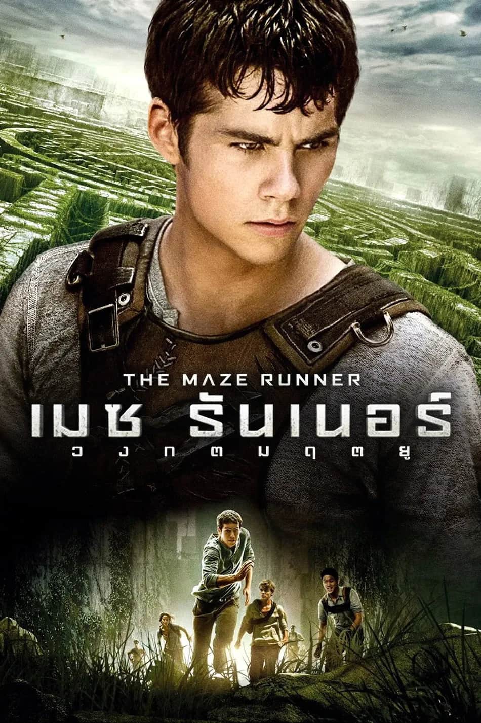 โปสเตอร์ เมซ รันเนอร์ : วงกตมฤตยู