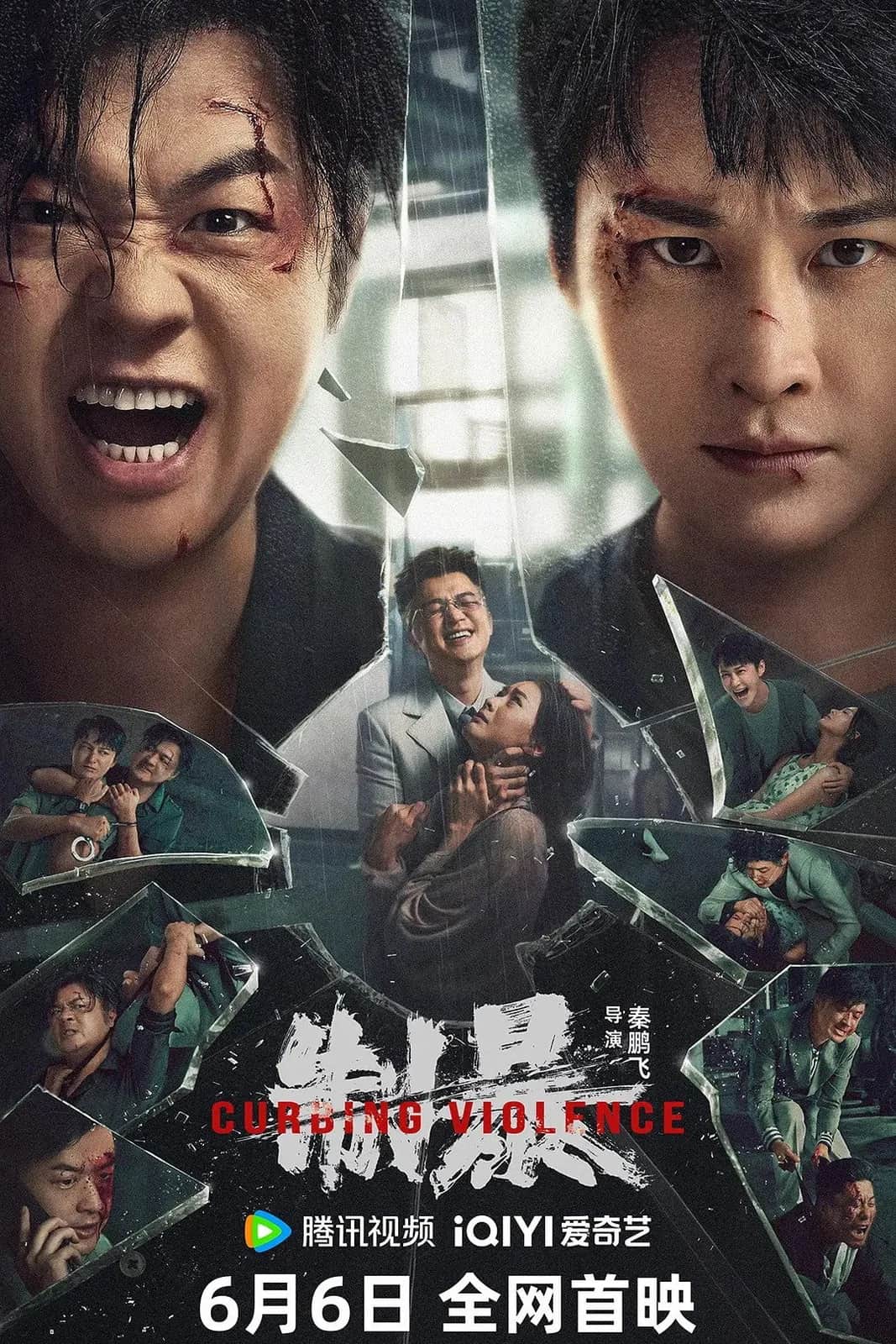 Curbing Violence poster