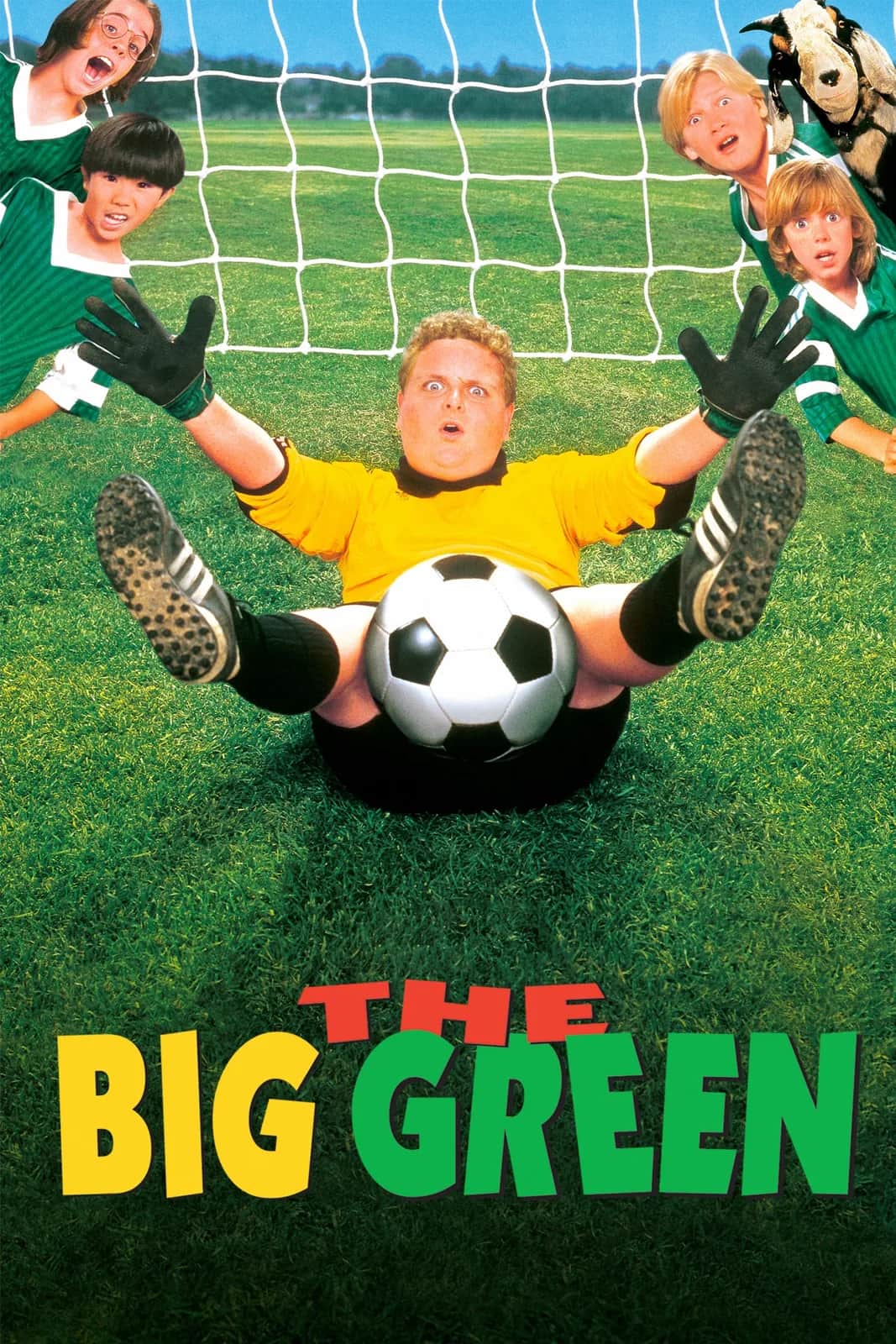 โปสเตอร์ The Big Green