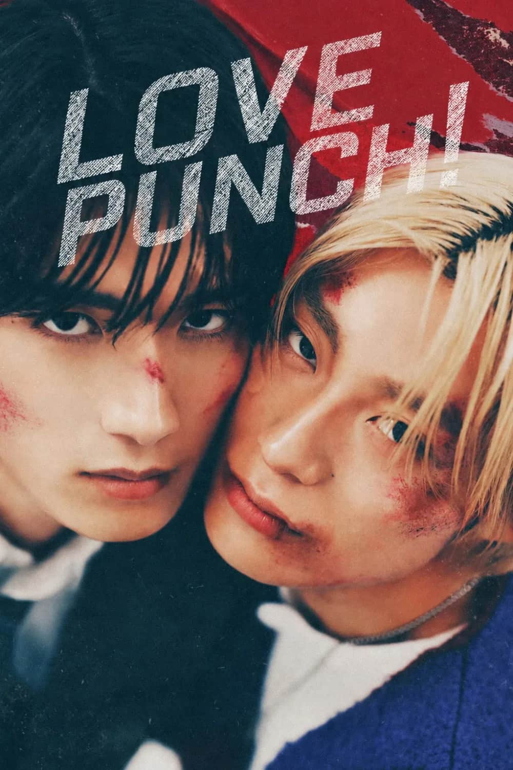 โปสเตอร์ Love Punch!
