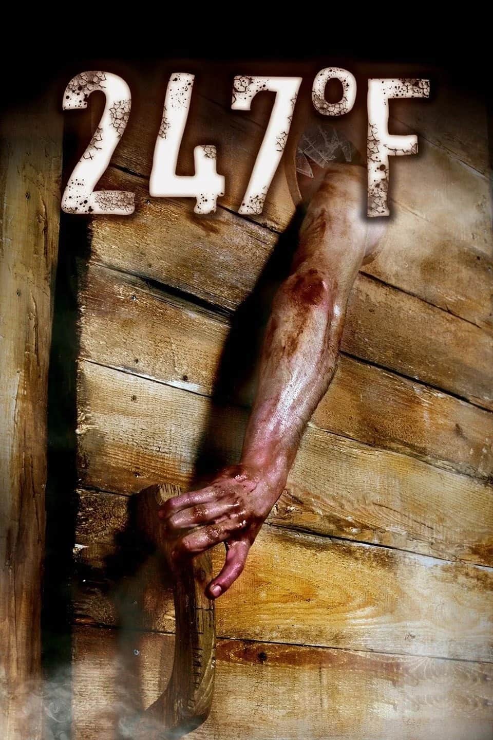 247F poster