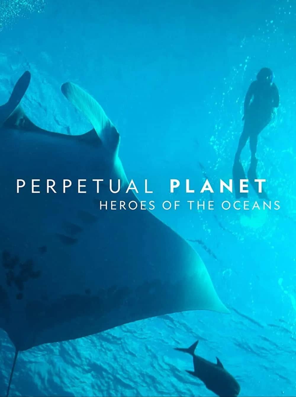 โปสเตอร์ Perpetual Planet: Heroes of the Oceans