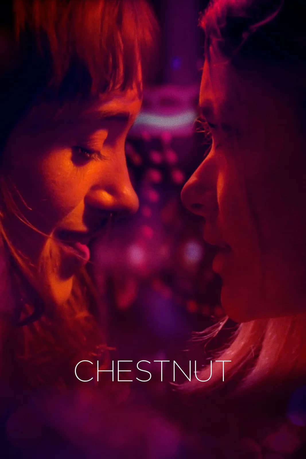 Chestnut poster