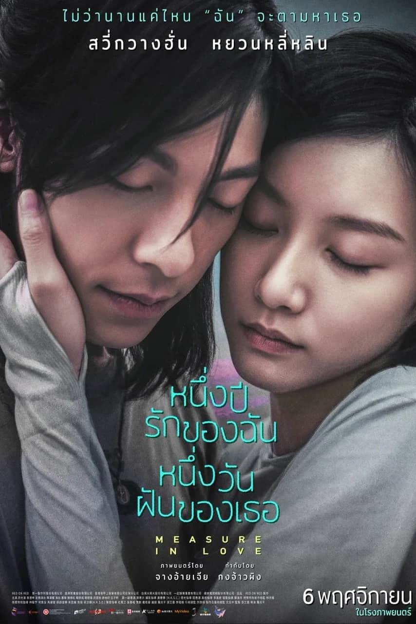 โปสเตอร์ หนึ่งปีรักของฉัน หนึ่งวันฝันของเธอ