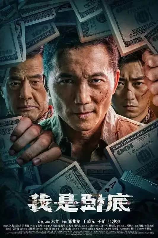 โปสเตอร์ สายลับซ่อนตัวตน