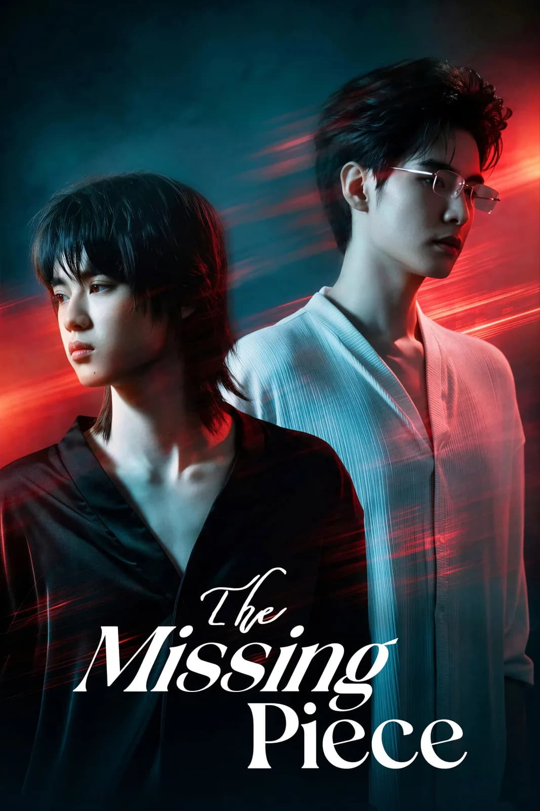 The Missing Piece poster